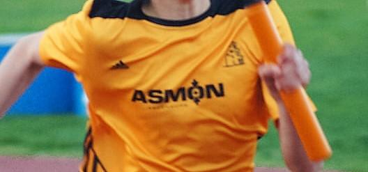 atlestisme ASMON ascensors