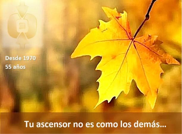 EL TEU  ASCENSOR no s como els altres...